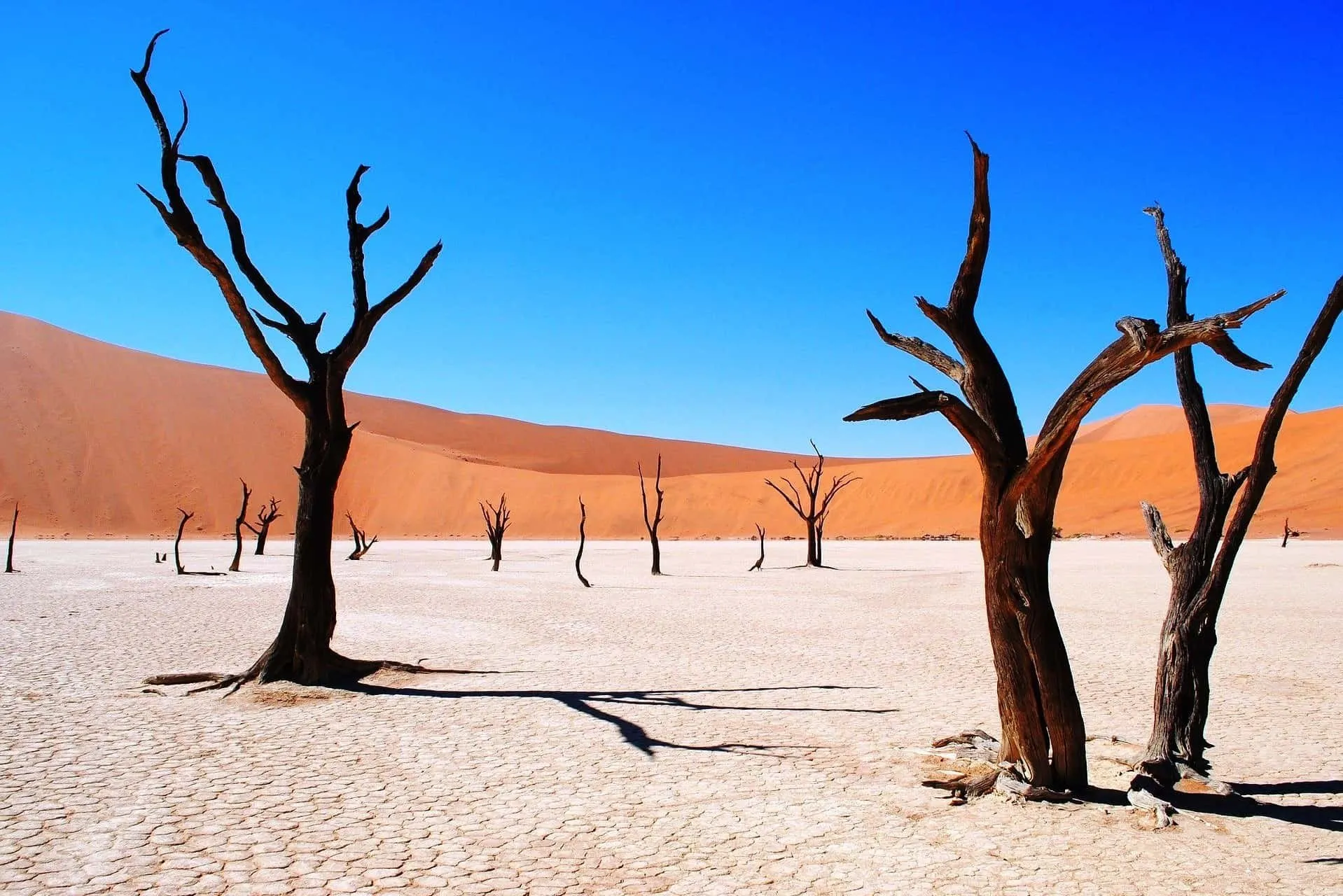 Sossusvlei y Deadvlei, al amanecer