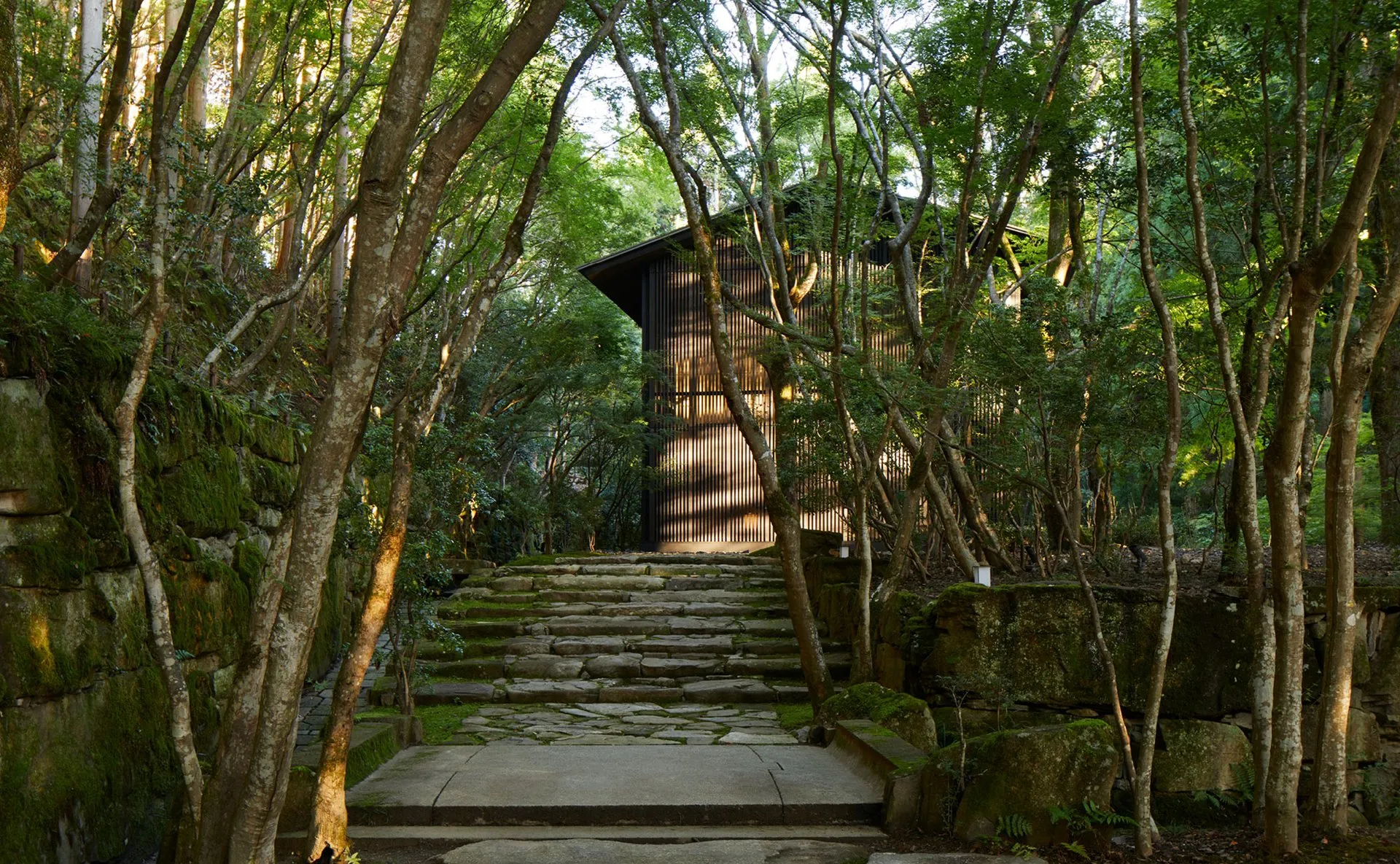 Japón